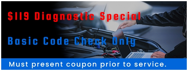 $119 Diagnostic Special